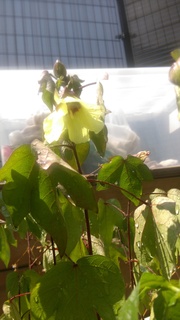 IMAG0781.jpg